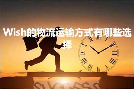 璺ㄥ鐢靛晢鐭ヨ瘑:Wish鐨勭墿娴佽繍杈撴柟寮忔湁鍝簺閫夋嫨